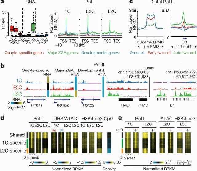 科研巨浪:中国学术界如何在Nature同日实现多点爆发? IT技术