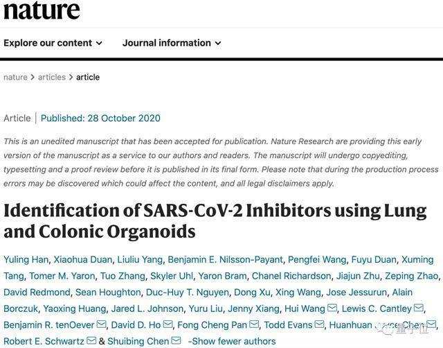 科研巨浪:中国学术界如何在Nature同日实现多点爆发? IT技术