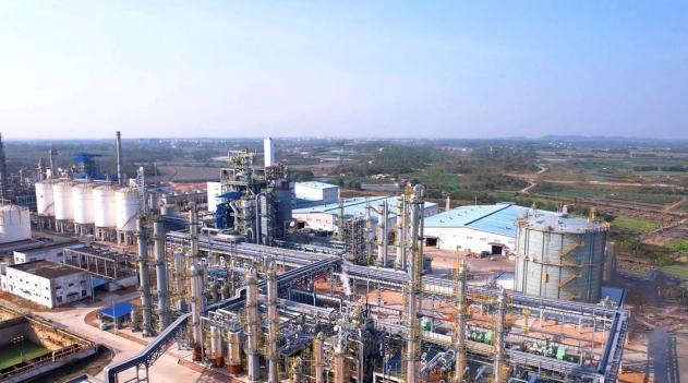 迷茫于“十五五”布局?上海市政协会议释放关键信号 新闻