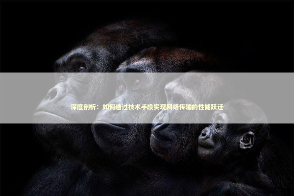 深度剖析：如何通过技术手段实现网络传输的性能跃迁 IT技术