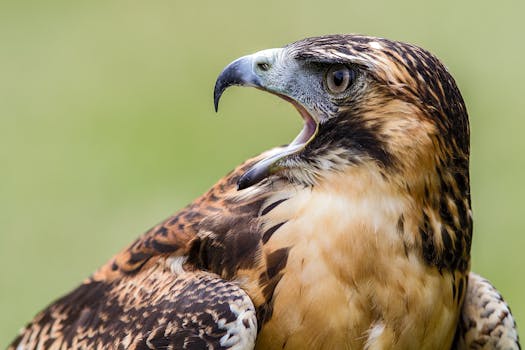  湘邮科技突遭证监会立案，业绩巨亏触退市红线；受损投资者开启维权通道。 股票财经