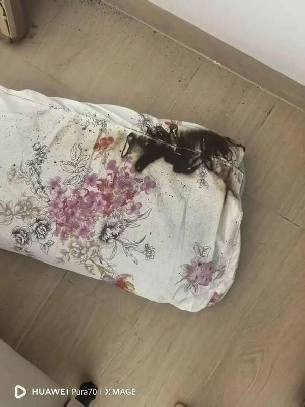  充电宝3C认证失效警示录：技术复盘与消费维权路径全解析 新闻