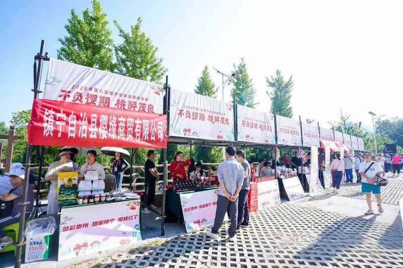  从1.2万亩到农文旅IP：镇宁樱桃采摘旅游季八年进阶路径深度复盘 文化旅游