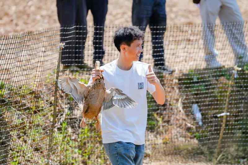  从1.2万亩到农文旅IP：镇宁樱桃采摘旅游季八年进阶路径深度复盘 文化旅游