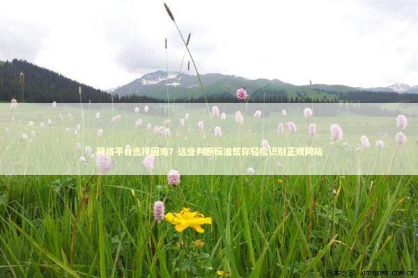 网络平台选择困难？这些判断标准帮你轻松识别正规网站
